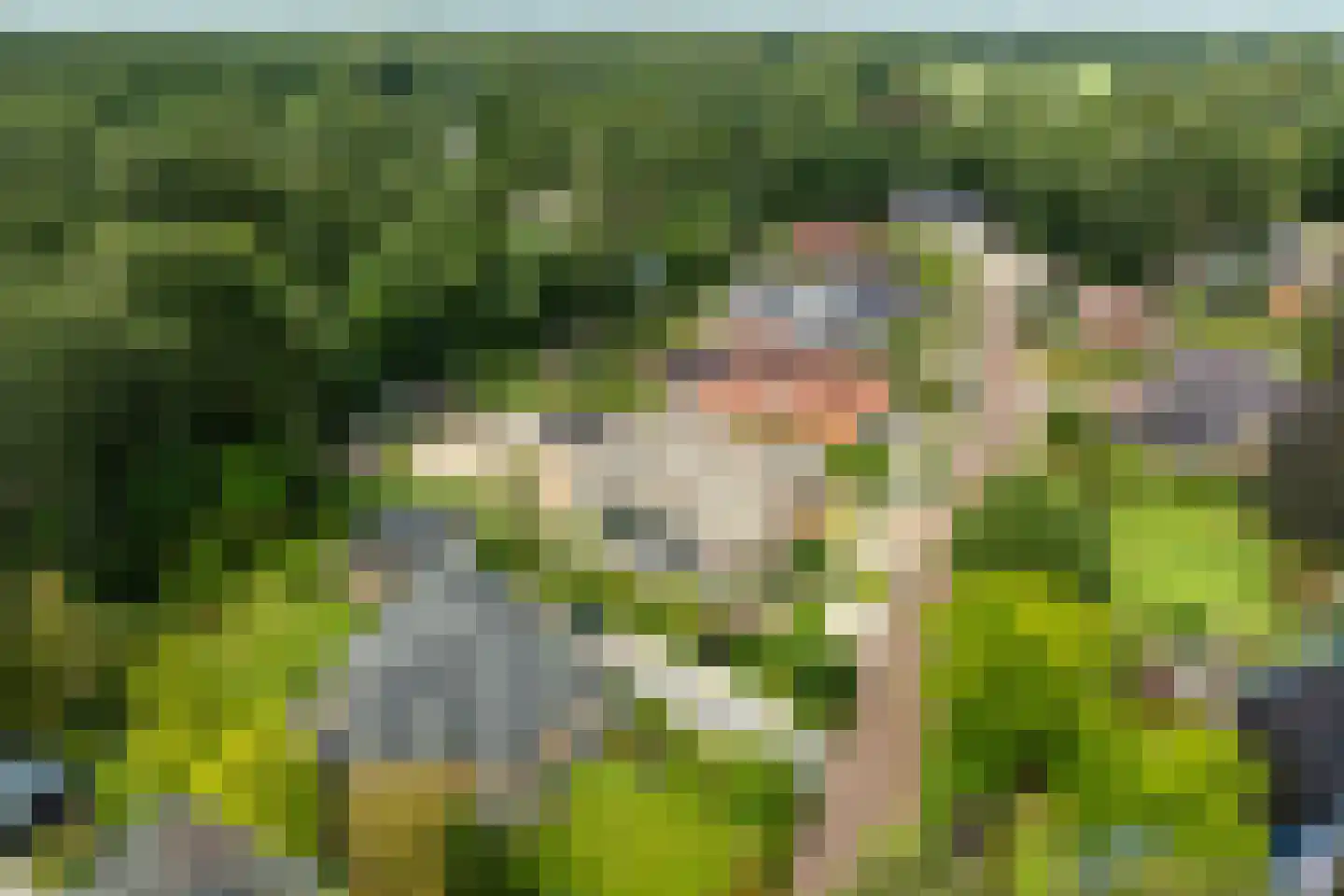 Falkenburgerf 10 Ommen thumbnail 8
