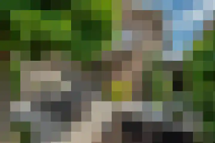 Falkland 23 Zoetermeer thumbnail 17