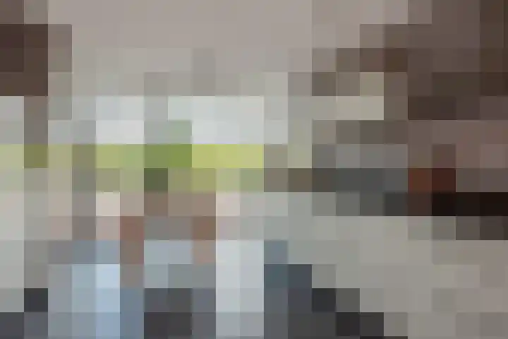 Falkland 23 Zoetermeer thumbnail 19