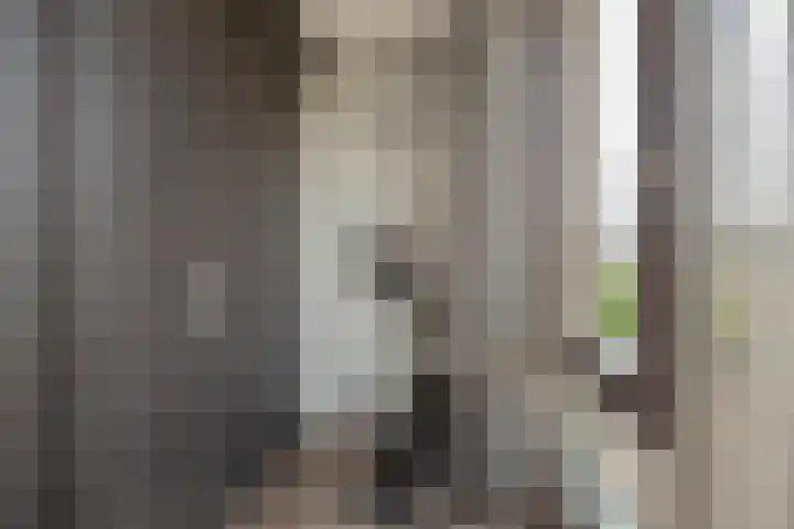 Falkland 23 Zoetermeer thumbnail 32