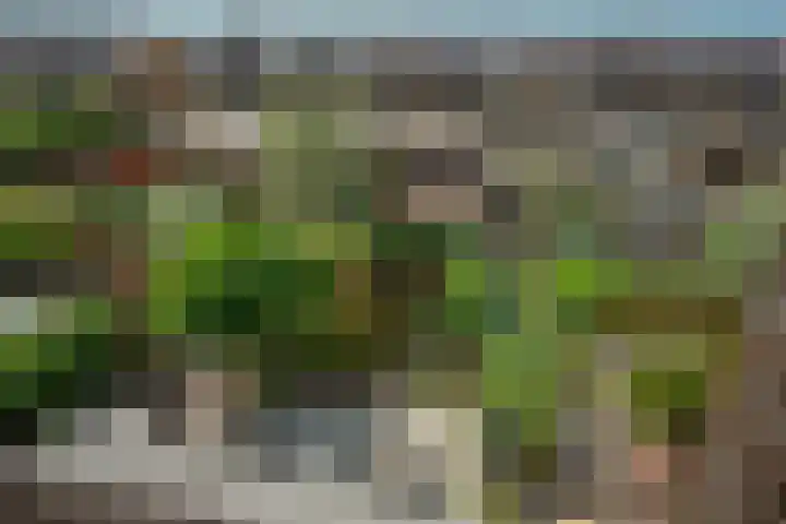 Falkland 23 Zoetermeer thumbnail 40