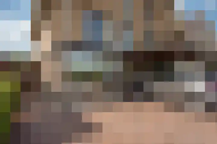 Falkland 23 Zoetermeer thumbnail 5