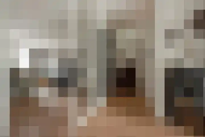 Falkland 23 Zoetermeer thumbnail 7