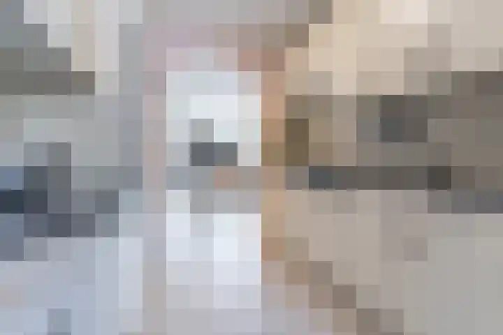Falstaff 14 Eindhoven thumbnail 15