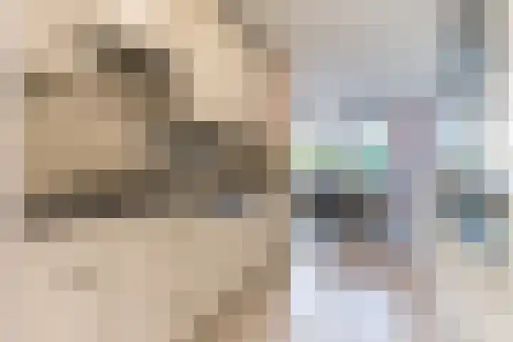 Falstaff 14 Eindhoven thumbnail 16