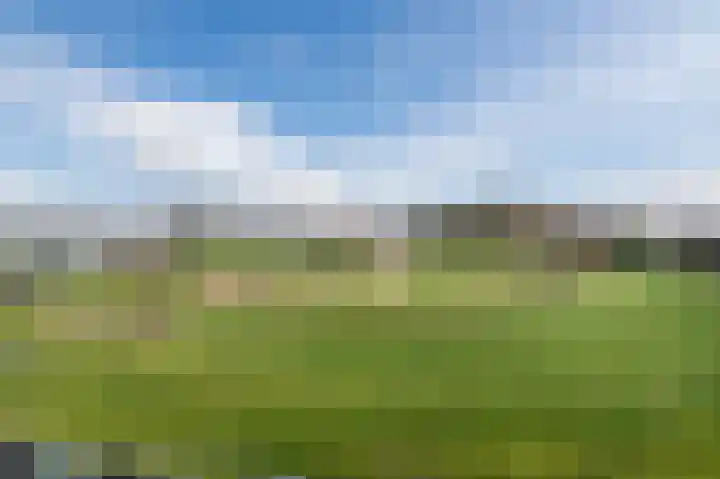 Fangorn 16 Geldrop thumbnail 46