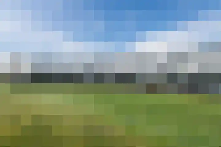 Fangorn 16 Geldrop thumbnail 57