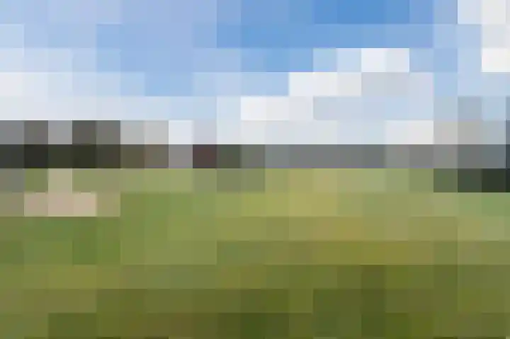 Fangorn 16 Geldrop thumbnail 62