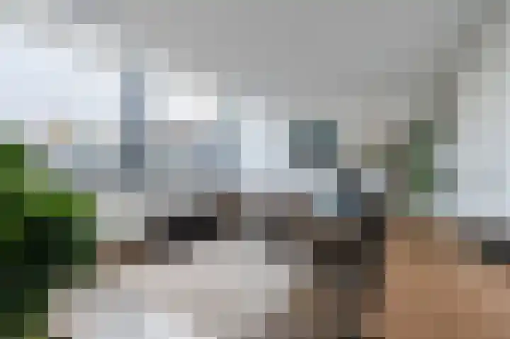Fangorn 16 Geldrop thumbnail 9