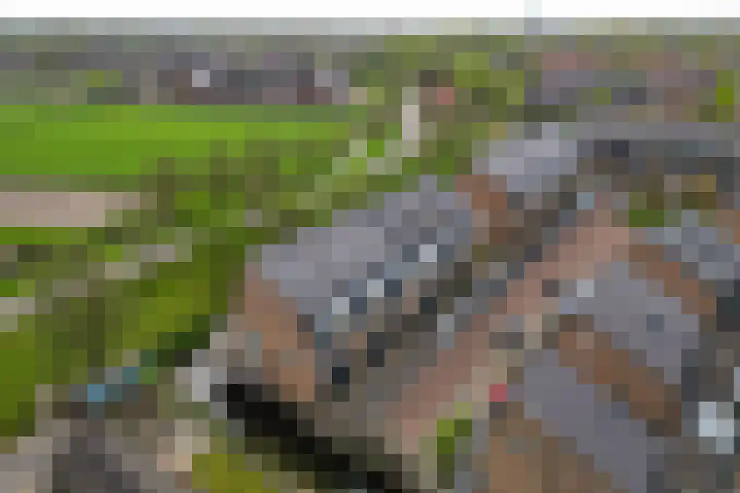 Fangorn 18 Geldrop thumbnail 24