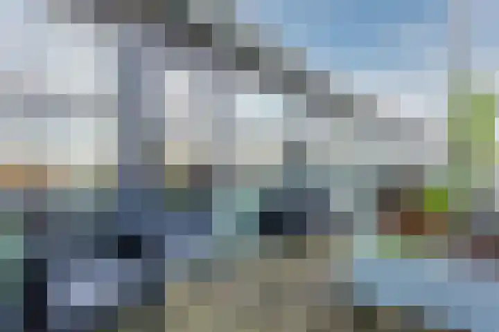 Fangorn 18 Geldrop thumbnail 42