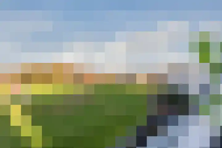 Fangorn 18 Geldrop thumbnail 45