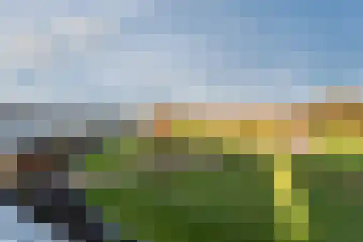 Fangorn 18 Geldrop thumbnail 47