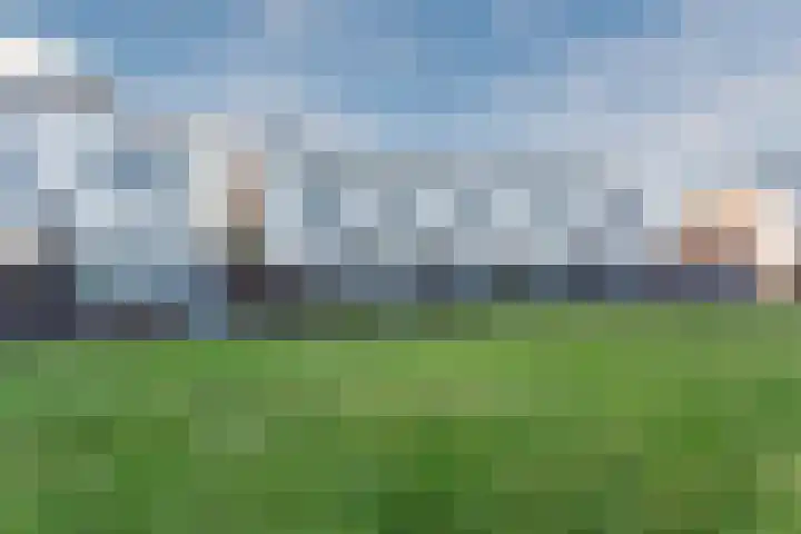 Fangorn 18 Geldrop thumbnail 57