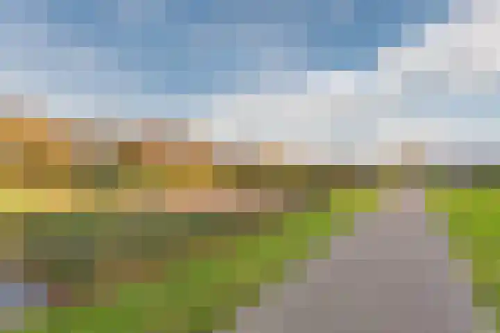 Fangorn 18 Geldrop thumbnail 60