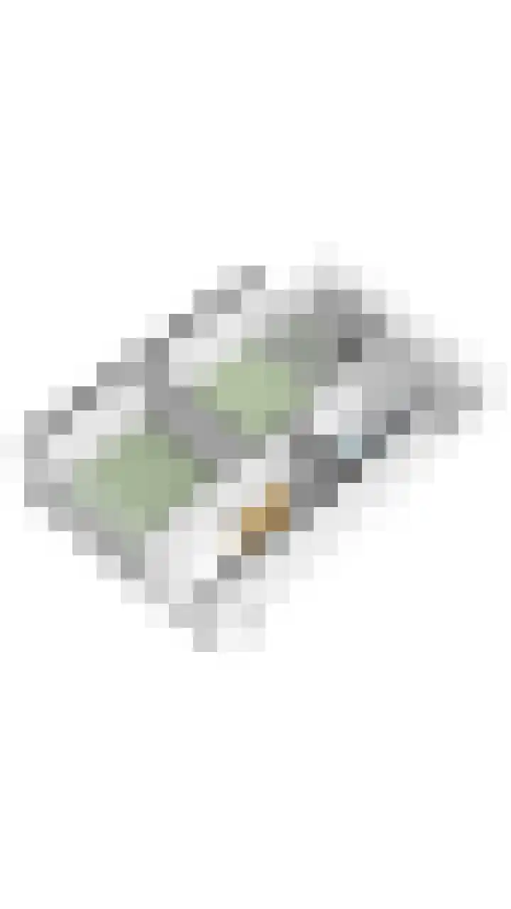 Fangorn 18 Geldrop thumbnail 69