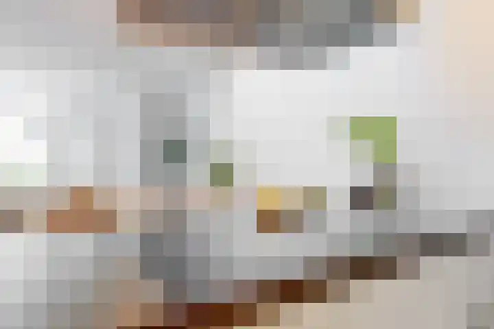 Faradaypad 14 Leiden thumbnail 13