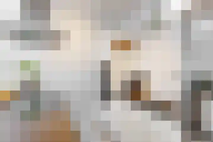 Faradaypad 14 Leiden thumbnail 14