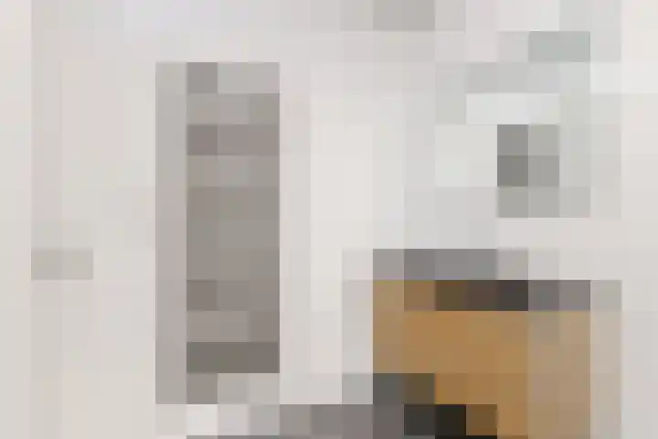 Faradaypad 14 Leiden thumbnail 22