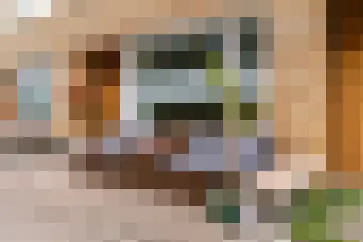 Faradaypad 14 Leiden thumbnail 4