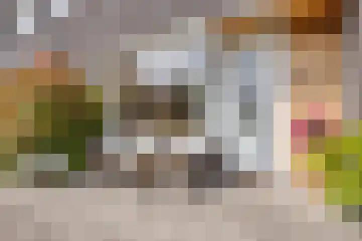 Faradaypad 24 Leiden