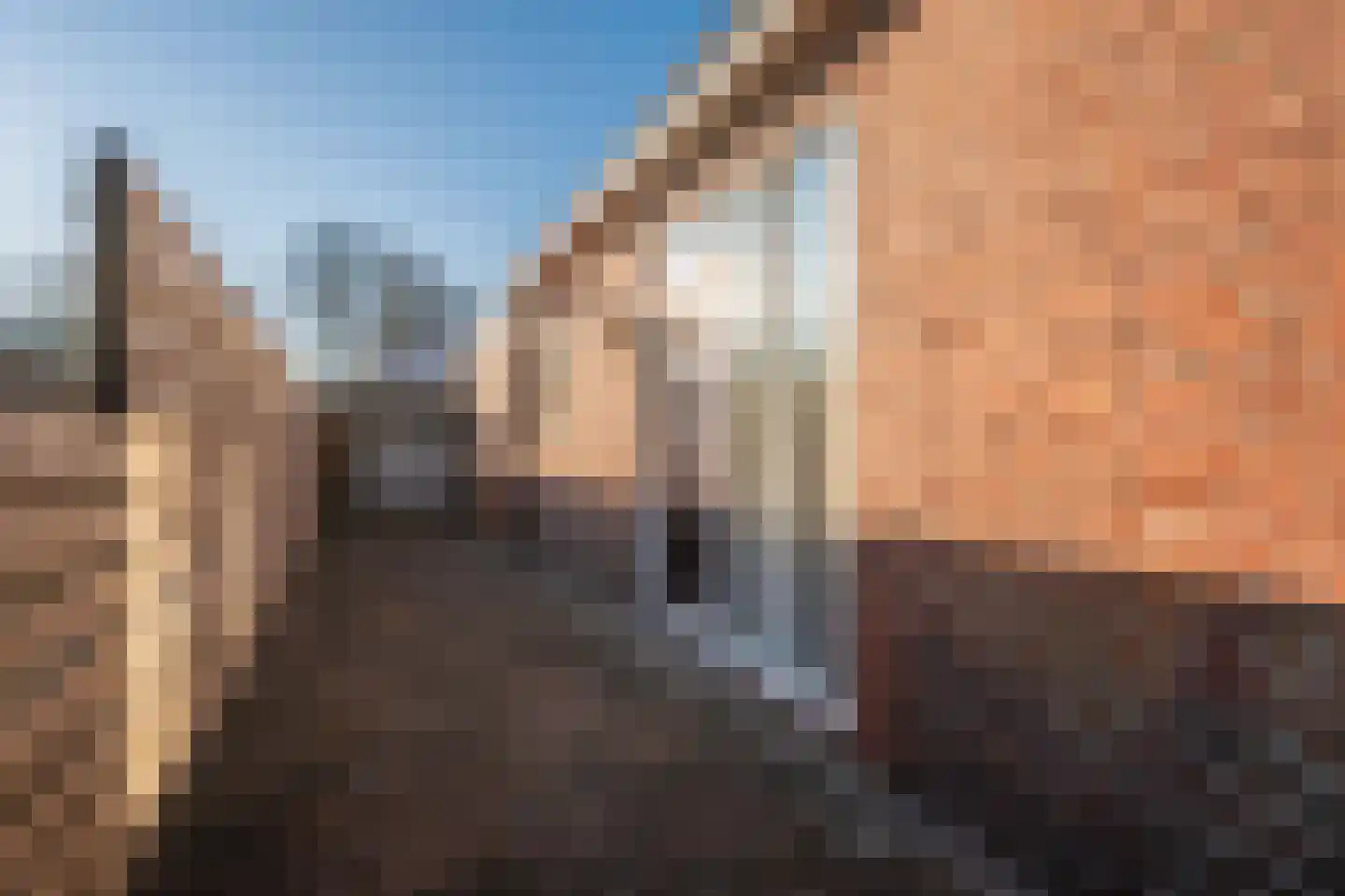 Farmsumerweg 58 Appingedam thumbnail 13