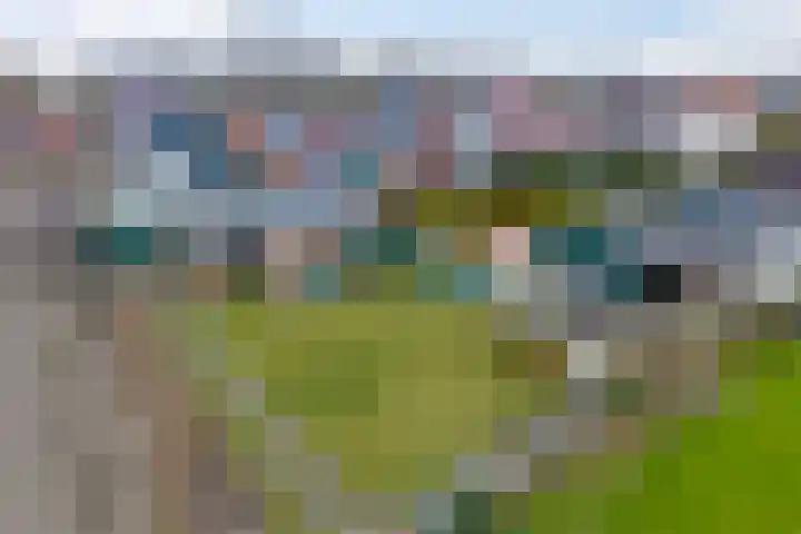 Farmsumerweg 71 Appingedam thumbnail 59