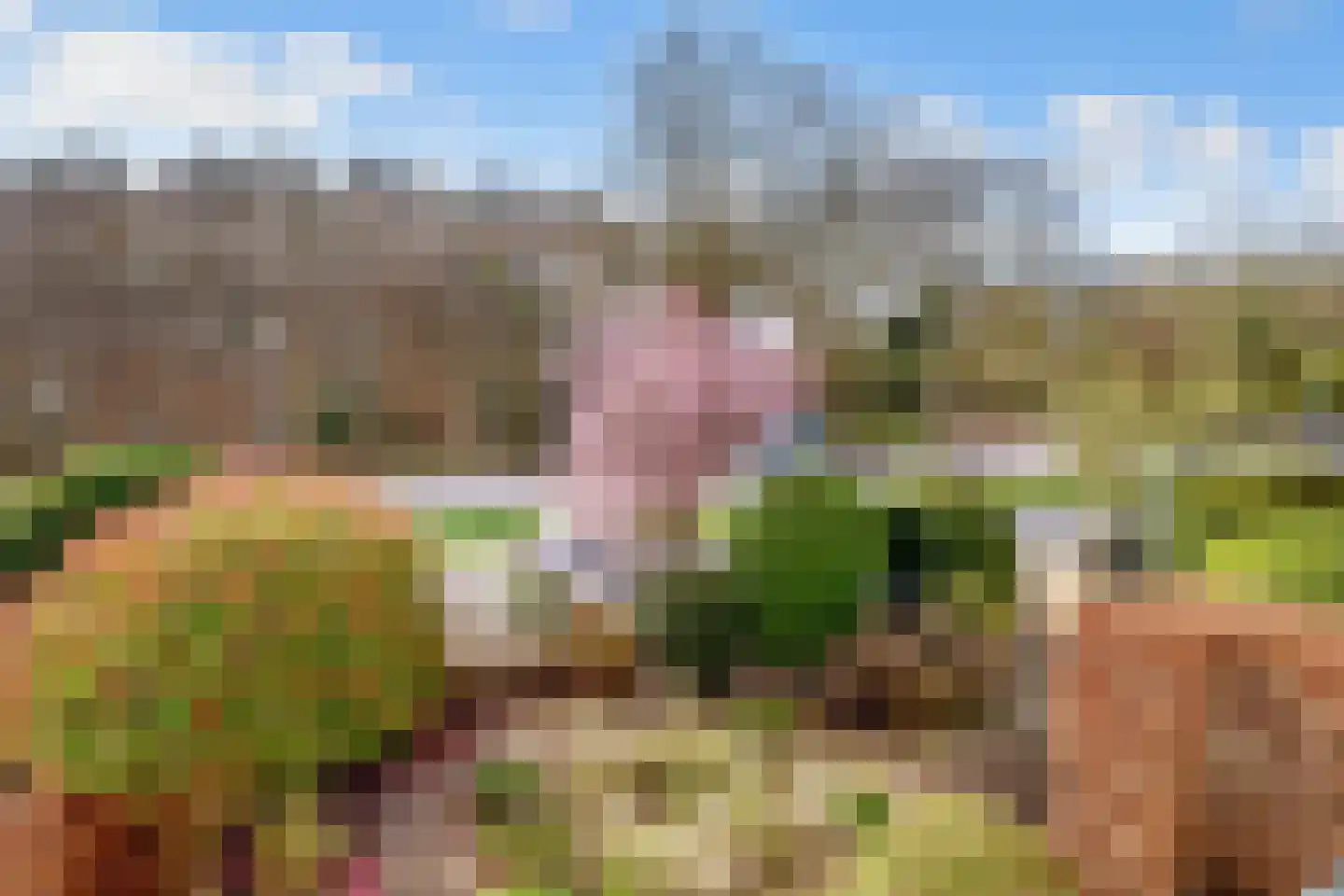 Farmsumerweg 71 Appingedam thumbnail 63