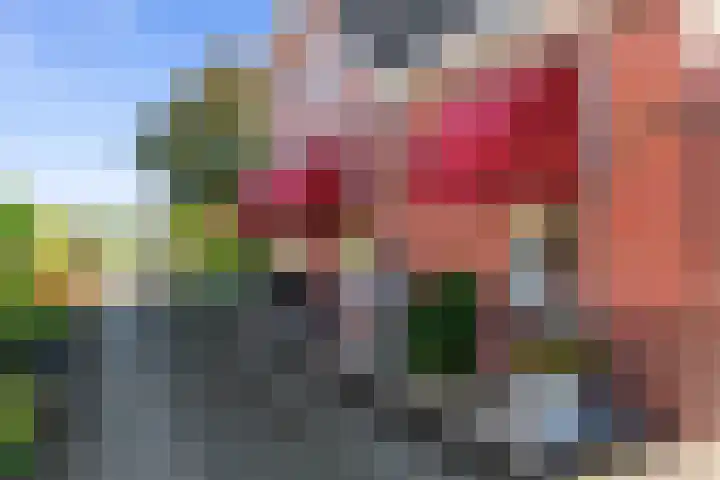 Farmsumerweg 87 Appingedam thumbnail 34