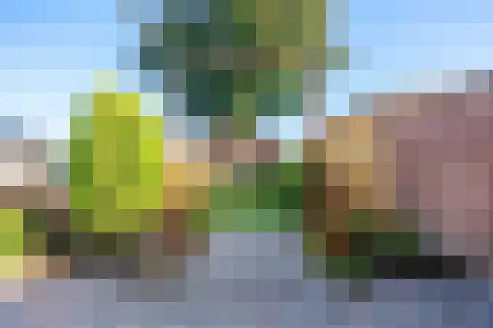 Farmsumerweg 87 Appingedam thumbnail 38