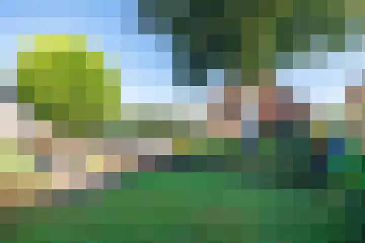 Farmsumerweg 87 Appingedam thumbnail 39