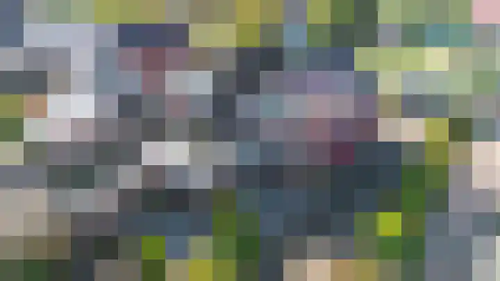 Farmsumerweg 87 Appingedam thumbnail 5