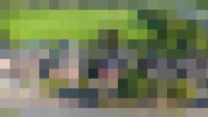 Farmsumerweg 87 Appingedam thumbnail 6