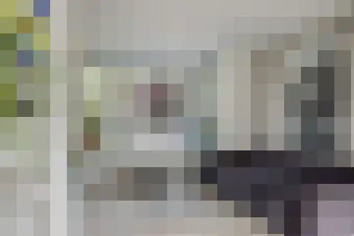 Fatimastraat 61 Breda thumbnail 12