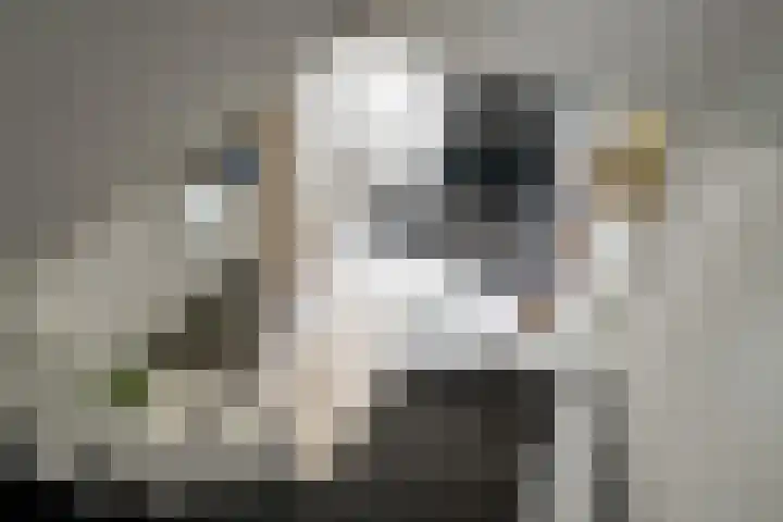 Fatimastraat 61 Breda thumbnail 21