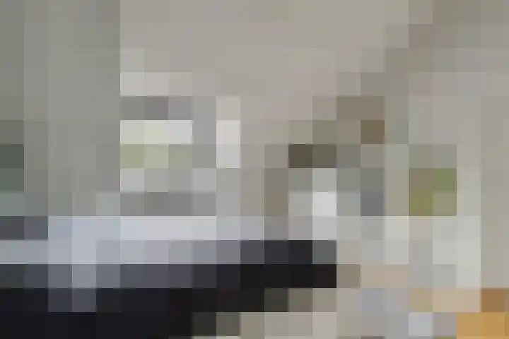 Fatimastraat 61 Breda thumbnail 35
