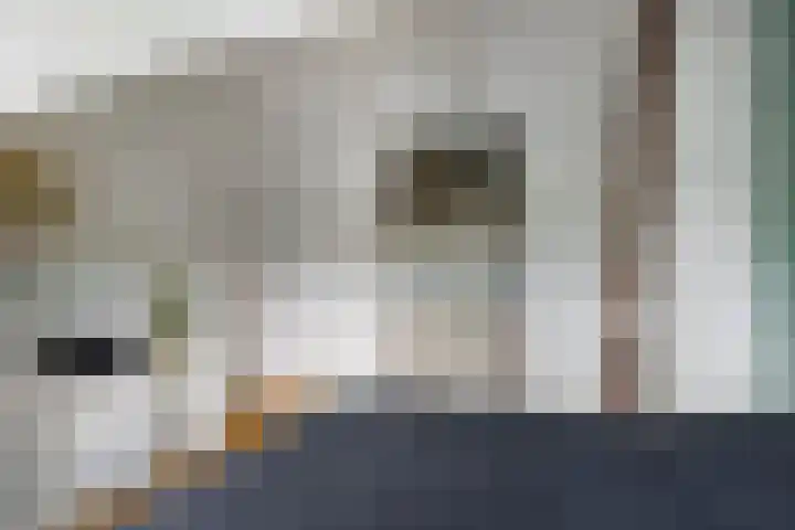 Fatimastraat 61 Breda thumbnail 37