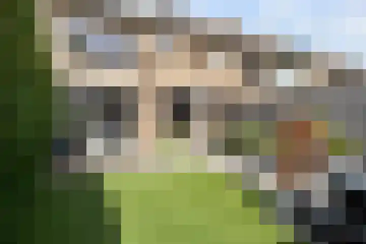 Fatimastraat 61 Breda thumbnail 40