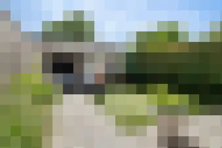 Fatimastraat 61 Breda thumbnail 42