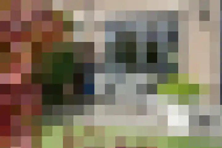 Fatimastraat 61 Breda thumbnail 43