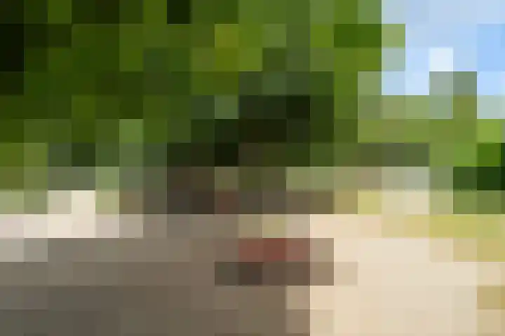 Fatimastraat 61 Breda thumbnail 47