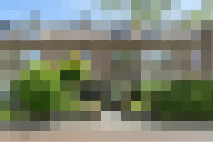 Fatimastraat 61 Breda thumbnail 58
