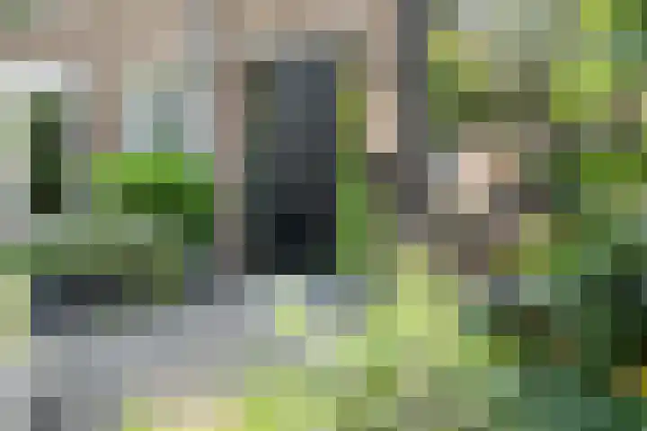 Fatimastraat 61 Breda thumbnail 6