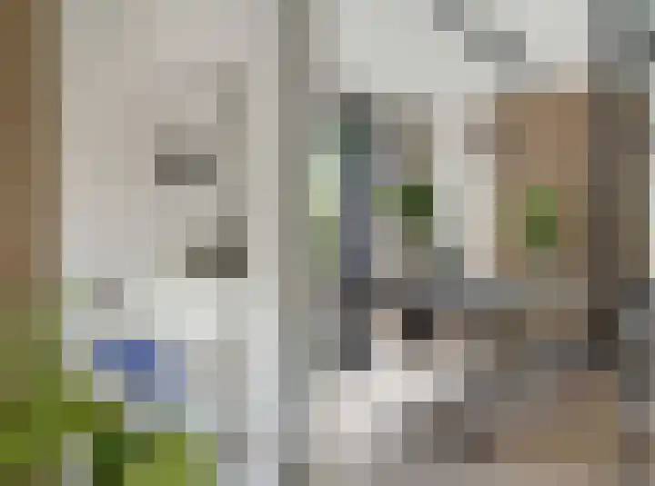 Fatimastraat 61 Breda thumbnail 9