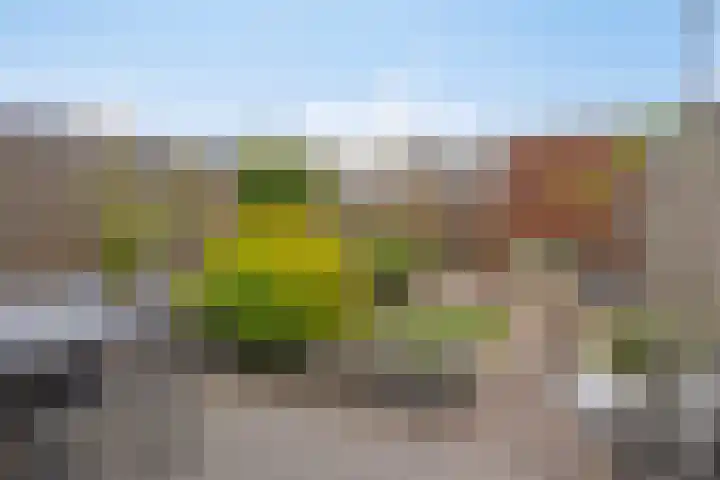 Faunalaan 58 Pijnacker thumbnail 35