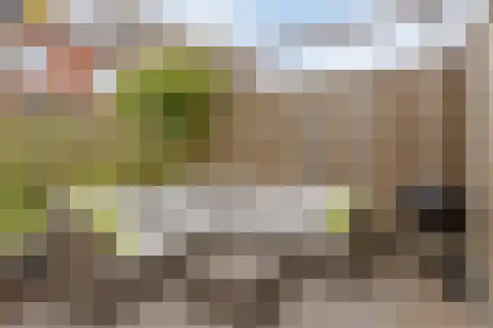 Faunalaan 58 Pijnacker thumbnail 37