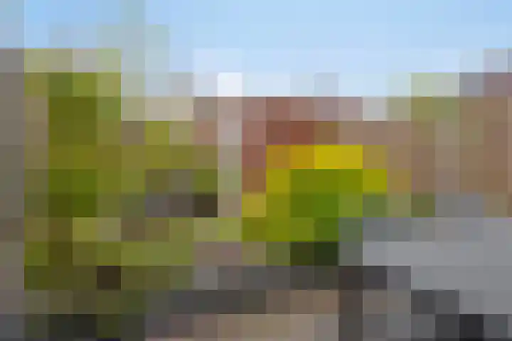 Faunalaan 58 Pijnacker thumbnail 38