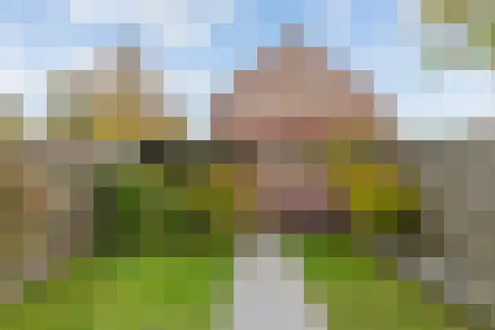 Faunalaan 78 Boxmeer thumbnail 24
