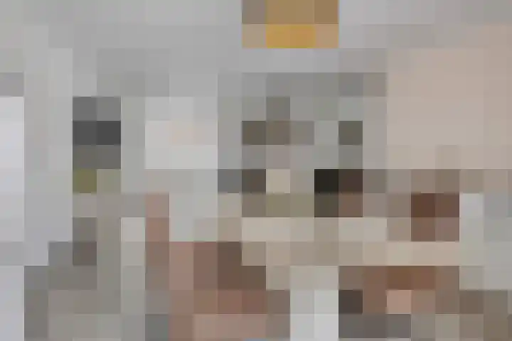 Faunasingel 29 Roermond thumbnail 12
