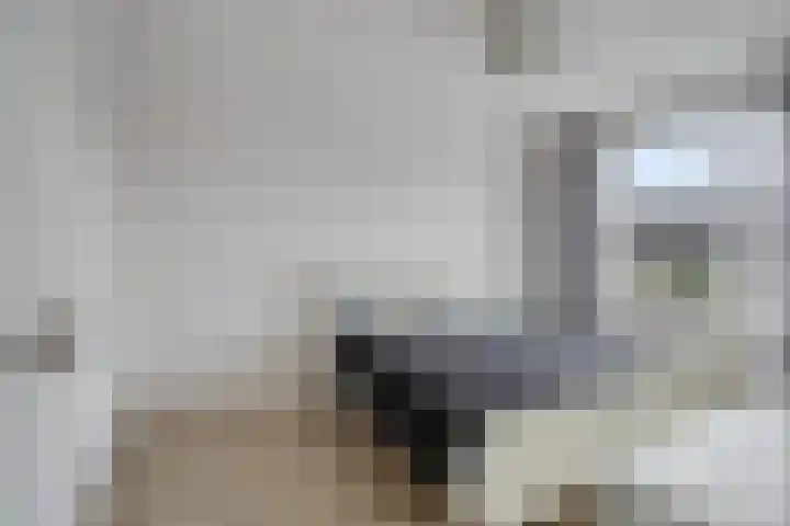 Faunasingel 29 Roermond thumbnail 19